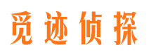 大新市婚姻出轨调查